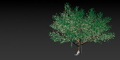 Obraz premium Money Tree