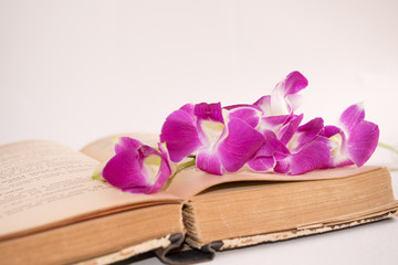 Old book and Orchid on white background, isolate