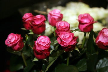 beautiful wedding bouquet of red roses closeup