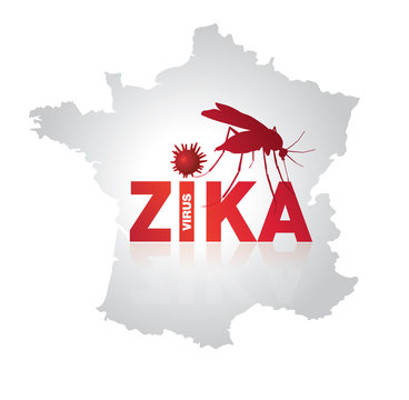 Virus Zika En France