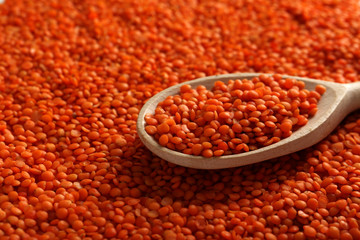 Red lentils in the wooden spoon