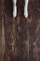 Dog's paws on old vintage brushed wooden table