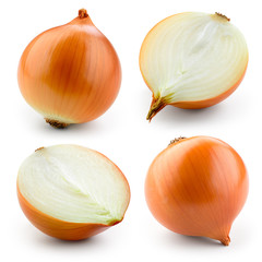 Onion bulb isolated on white. With clipping path. Collection. - obrazy, fototapety, plakaty
