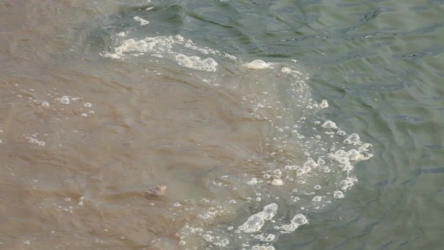 Environmental damage - Water pollution: Sewage water pumped straight into river;