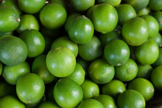 Lime. Citrus fruit. Green background.