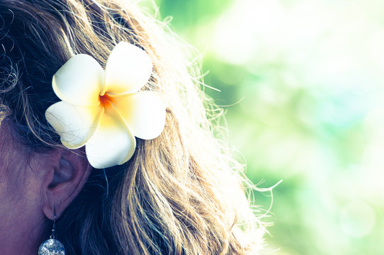 ハワイのイメージ,プルメリア,花の髪飾り