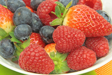 fruits rouges 09022016