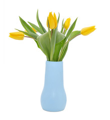 Tulips in vase