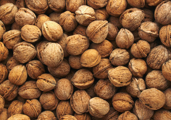 Ripe walnuts background