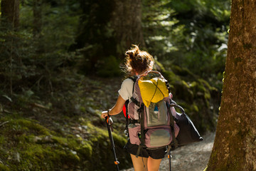Obraz premium woman hiker with backpack walking in native beech forest