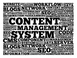 Obraz premium CMS Content Management System word cloud, business concept background