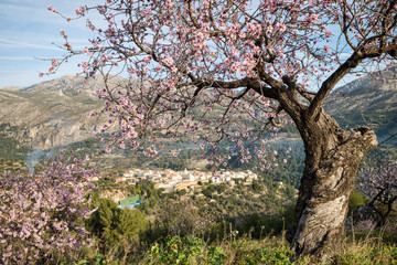 Costa Blanca landscape