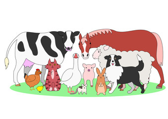 farm animals in a group