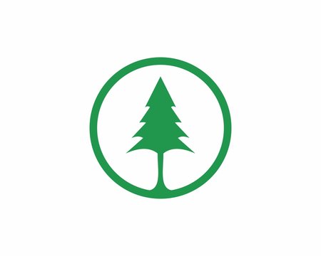 Pine Tree Logo