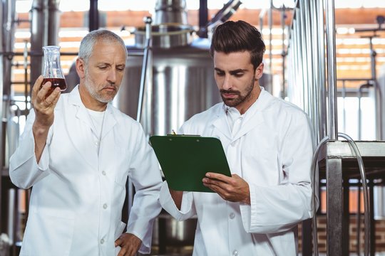 Team of brewers working together