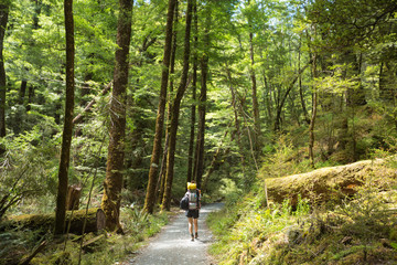 woman hiker with backpack walking in native beech forest