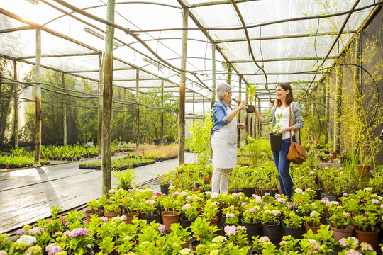 Worker and customer in a green house