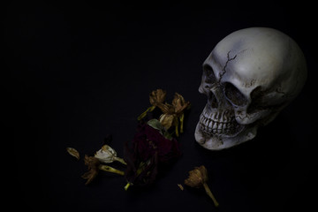 Skull and light candle with dry flowers - Still life style