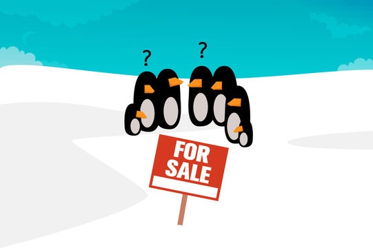 South pole for sale