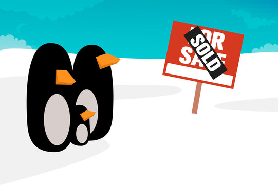 South pole for sale