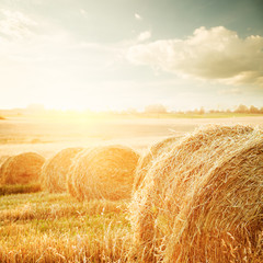 Summer Field with Hay Bales at Sunset - 102207794