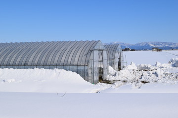 雪の中の農業用ビニールハウス／山形県の庄内地方で、雪の中の農業用ビニールハウスを撮影した写真です。