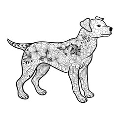 Dog doodle