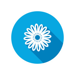 Chamomile flower icons. Floral symbol. Round white sign on blue flat button with long shadow. Vector