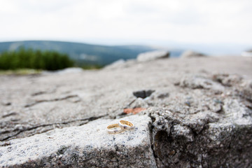 Wedding rings gold outdoors
