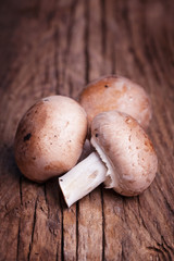 Fresh organic mushrooms on wooden retro surface