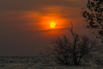 Obraz premium sun rise