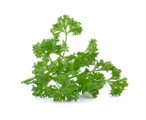 parsley isolated on a white background