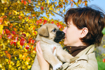 The puppy of the Spanish mastiff licks a woman's face