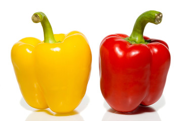 peppers on a white background