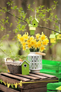 Fototapeta Easter decoration with spring flowers, narcissus blooms.