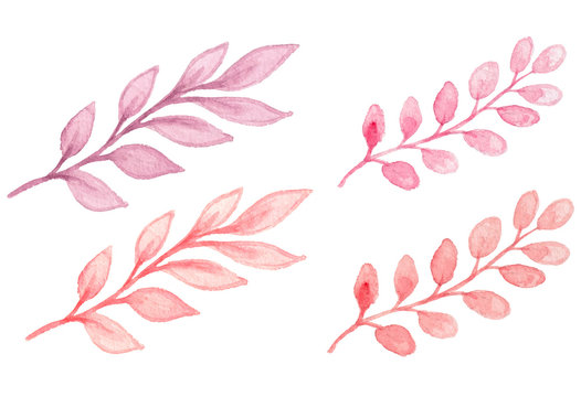Pink watercolor branch