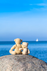 Two Teddy Friends / Two teddy bears sitting at the top of a large stone with blue sea background...