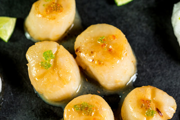 Studio close up of seared scallops, garnished with greens and sauce