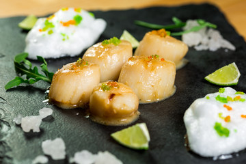Studio close up of seared scallops, garnished with greens and sauce