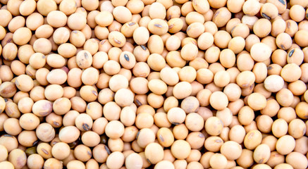 Soybeans background.