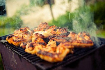 Barbecue party / Summer barbecue party or picnic in backyard