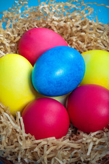 Fototapeta na wymiar Easter eggs in a nest on blue background. Toned