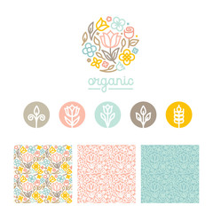 Vector set of logo design templates, seamless patterns and signs