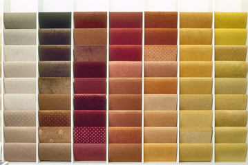 Samples of color from carpets