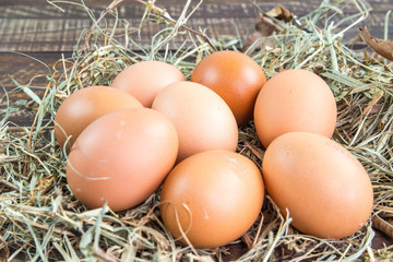 Fresh eggs on wood vintage background