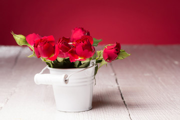 Fresh red rose