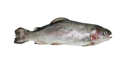 Raw Tout On White