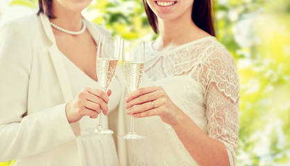 close up of lesbian couple with champagne glasses
