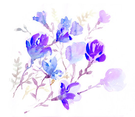 Fototapeta na wymiar watercolors colorful flowers 