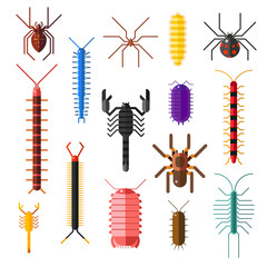 Fototapeta na wymiar Spiders and scorpions dangerous insects animals vector cartoon flat illustration